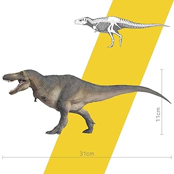 Amazon.co.jp: PNSO TARBOSAURUS Chuanzi Dinosaur Model Toy
